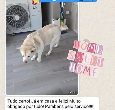 Depoimento de Cliente ESA Cargo