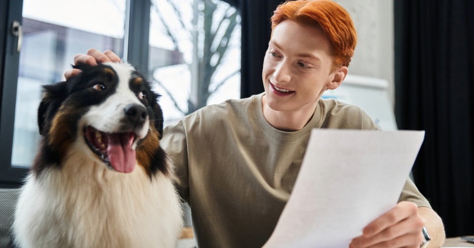 Principais documentos para viagem internacional com seu pet!