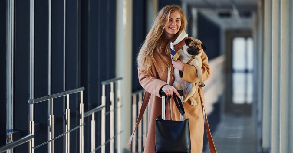 Tutora com passaporte, mala e cão nos braços foca no embarque de pets para exterior